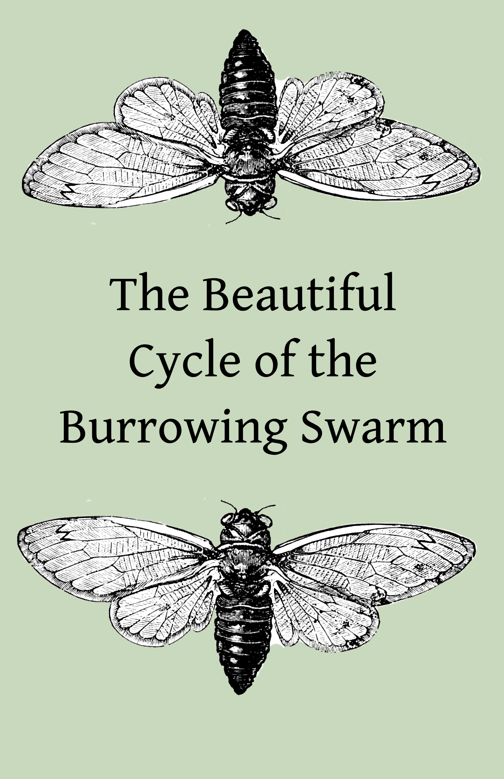 The Beautiful Cycle_of The Burrowing Swarm Cover